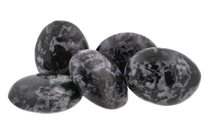 Gabbro (Indigo) Jasper Palms - 1 lb