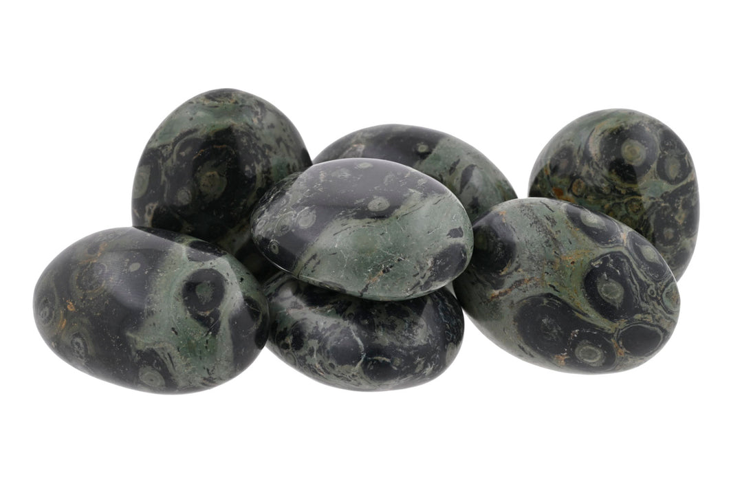 Kambaba Jasper Small Palms - 1 lb