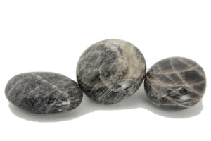 Black Moonstone Palms - 1 lb