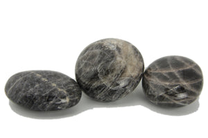 Black Moonstone Palms - 1 lb