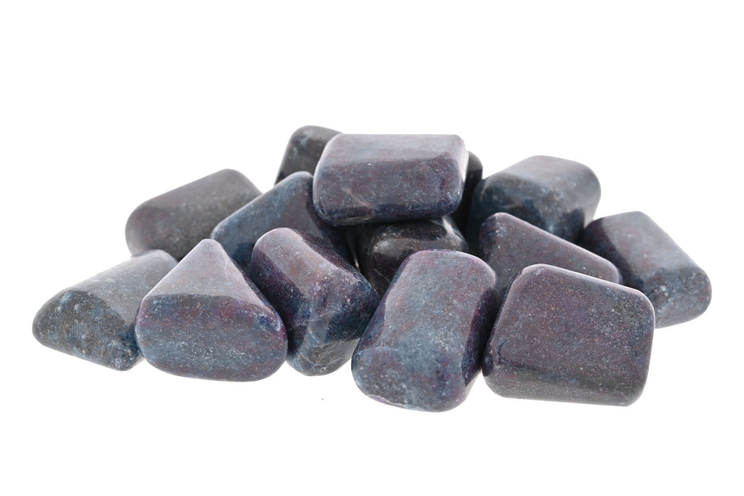 Ruby in Kyanite Tumbled Stones - 1 lb